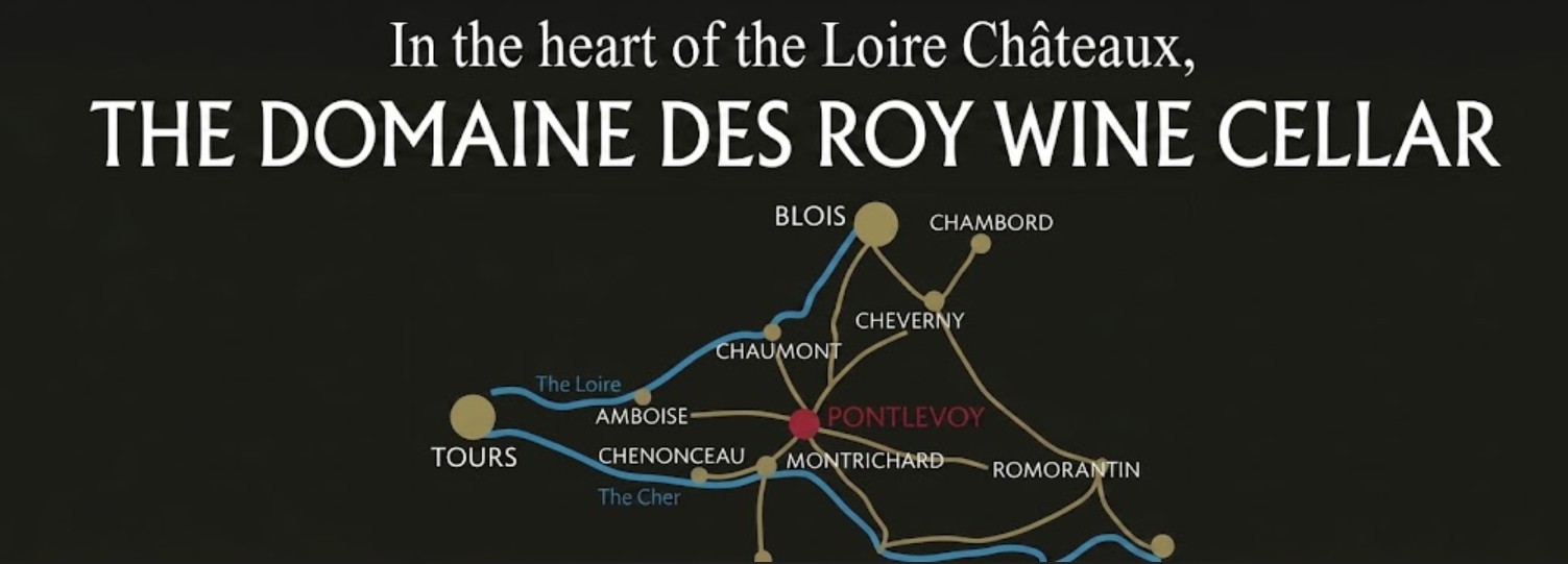 Access Map - Domaine des Roy winery in Pontlevoy